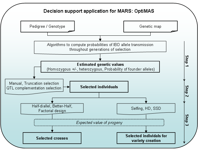 Figure 1: OptiMAS GUI functionalities