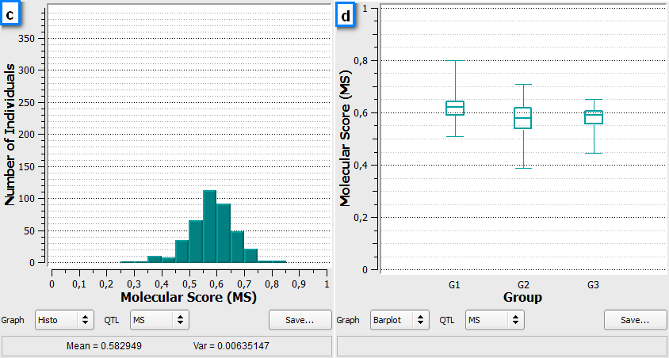 Figure 10: distribution of QTL MS, global genetic values and their evolution over the different cycles of selection